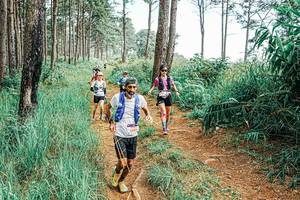 BIB: 
                            <button type="button" onclick="openModal(25654778)" class="btn btn-primary btn-sm float-right btn-popup" data-toggle="modal" data-target=".modal-high-quality">
                        <i class="fas fa-shopping-cart"></i> Add to Cart
                    </button>
                                            <button type="button" onclick="isThisMe(25654778, true)" class="btn btn-success btn-sm float-right btn-popup btn-isme hidden" data-toggle="tooltip" data-placement="bottom" title="นี่คือรูปของคุณใช่ไหม คลิกที่นี่เพื่อเอาเข้าอัลบั้ม">
                        <i class="fas fa-plus"></i> Add to album
                    </button>
                    <button type="button" onclick="isThisMe(25654778, false)" class="btn btn-warning btn-sm float-right btn-popup btn-isnotme hidden">
                        <i class="fas fa-ban"></i> Remove from album
                    </button>